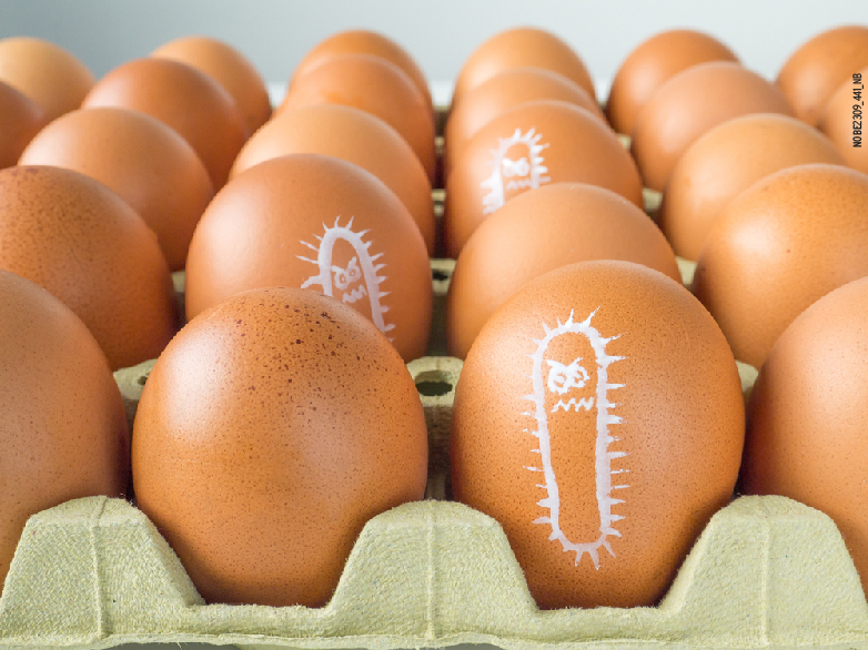 Gıda Güvenliği Alarmı: Salmonella Enfeksiyonunu Anlamak - thumbnail Gıda Güvenliği Alarmı: Salmonella Enfeksiyonunu Anlamak - thumbnail