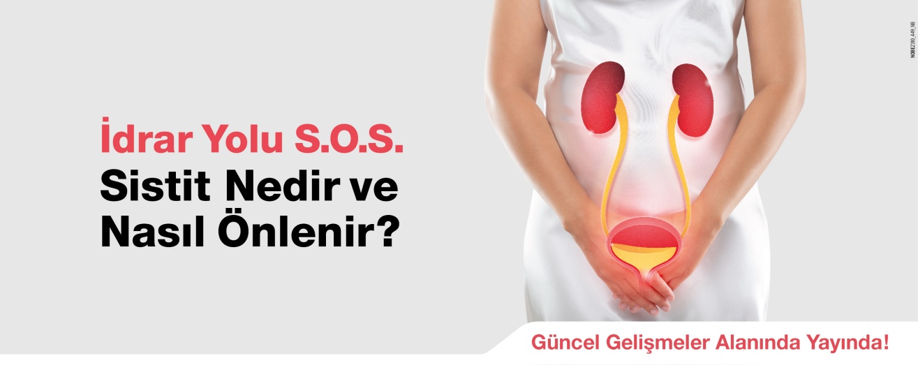 idraryolu-sistitnedir-09102023-slider