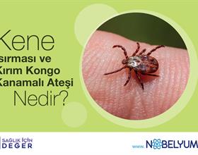 Kene Isırması ve Kırım Kongo Kanamalı Ateşi Nedir?